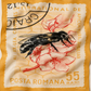 Silken Modal Scarf | Beekeeping Congress