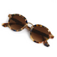 Ashton Tuscan Tortoise
