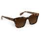 Celeste Maple + Crystal Polarized