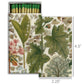 Lily of the Valley matchbox, 4.5 x 2.25 inches