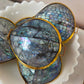 Blue crackle shell trinket box, close up