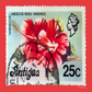 No. 13 : Caribbean Post
