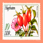 Silken Modal Scarf | Rose Hips