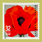Silken Modal Scarf | Georgia O'Keeffe Poppy
