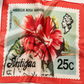 No. 13 : Caribbean Post