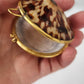 Polished limpet shell trinket box, tortoiseshell pattern close up